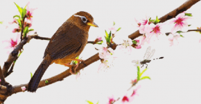 Cuộc đời này, còn sống chính là thắng lợi, kiếm tiền là trò chơi, được trở về nơi tốt đẹp mới là mục đích