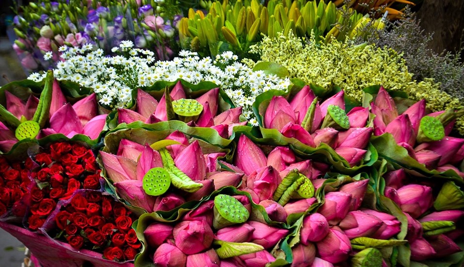 Tử vi của 12 con giáp trong ngày 21/6/2020