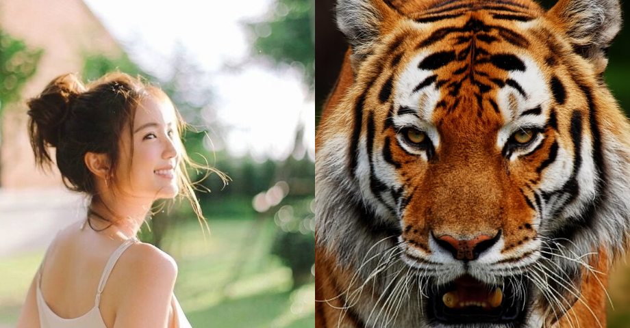 Tài lộc cuối năm 2020 của 12 con giáp như thế nào?