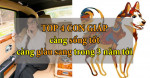 4 con giáp nếu sống lương thiện sẽ được thần tài chiếu cố, tiền bạc rủng rỉnh trong 3 năm tới