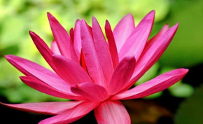 Tử vi của 12 con giáp trong ngày 13/7/2020