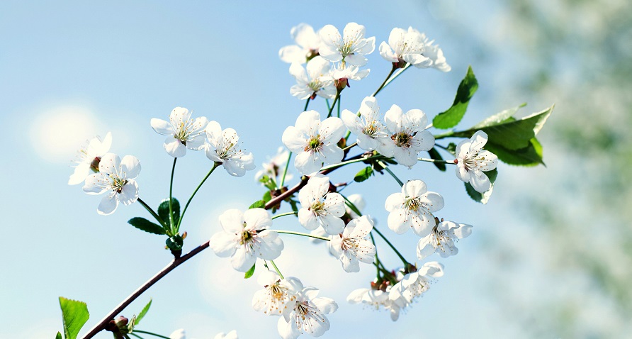 Tử vi của 12 con giáp trong ngày 25/7/2020