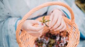 Làm người, đừng nói xấᴜ người khác, cứ im lặng làm tốt νiệc của mình là đủ