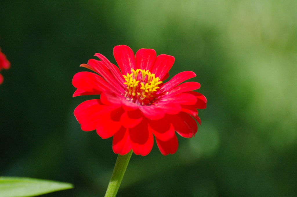 Tử vi của 12 con giáp trong ngày 4/9/2020