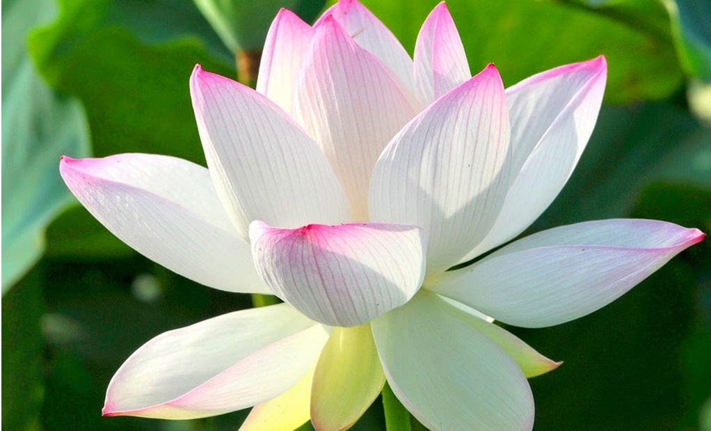 Tử vi của 12 con giáp trong ngày 10/9/2020