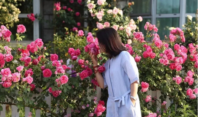 Phụ nữ khi đã chín chắn sẽ bình lặng mà nhìn đời, nhìn người và nhìn vào chính bản thân mình