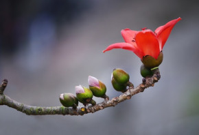 Tử vi của 12 con giáp trong ngày 26/9/2020