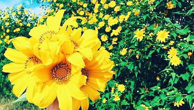 Tử vi của 12 con giáp trong ngày 4/10/2020