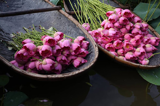 Tử vi của 12 con giáp trong ngày 5/10/2020