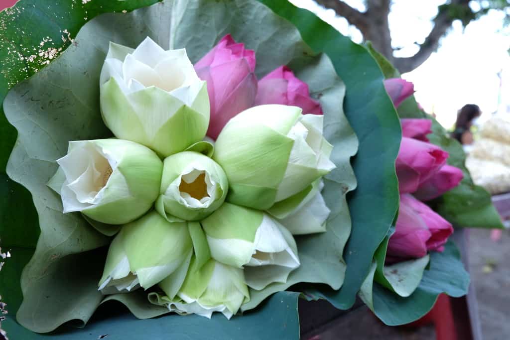 Tử vi của 12 con giáp trong ngày 9/10/2020