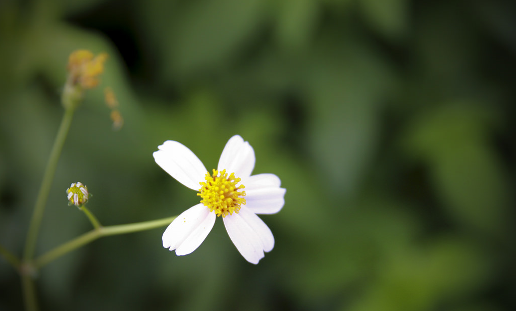 Tử vi của 12 con giáp trong ngày 25/10/2020