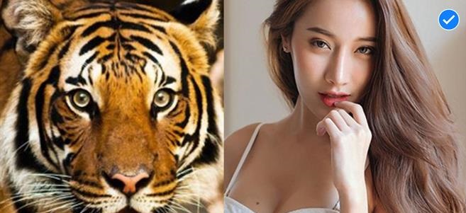 Đúng ngày 11/11, thời vận xoay vần, cát tinh chiếu mệnh: Đây là 3 con giáp có tài lộc thăng hoa, đỏ hơn trúng số độc đắc