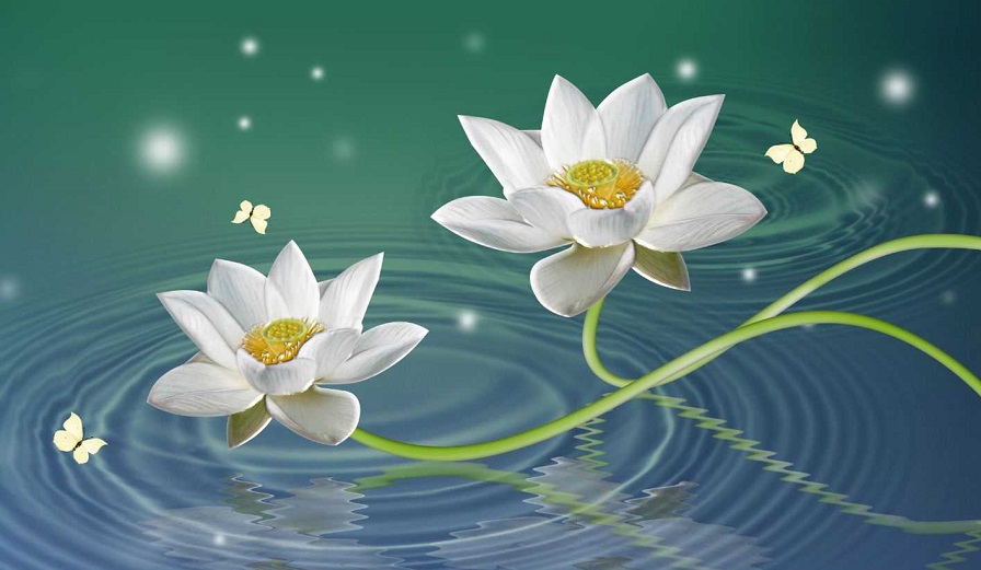 Tử vi của 12 con giáp trong ngày 22/11/2020