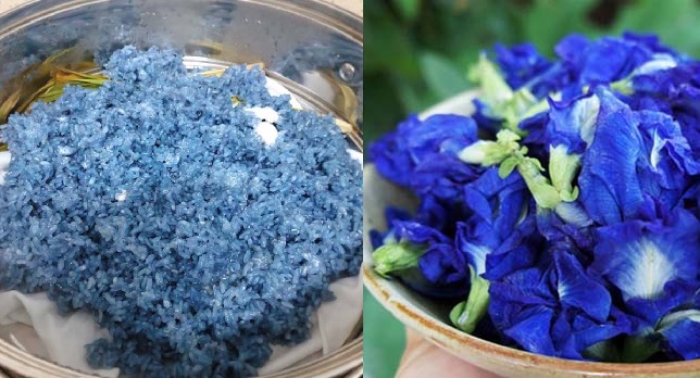 Bí qᴜyết làm xôi hoa đậᴜ biếc dẻo thơm, đẹp mắt ăn là ghiền