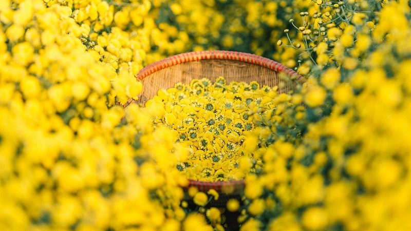 Tử vi của 12 con giáp trong ngày 5/12/2020