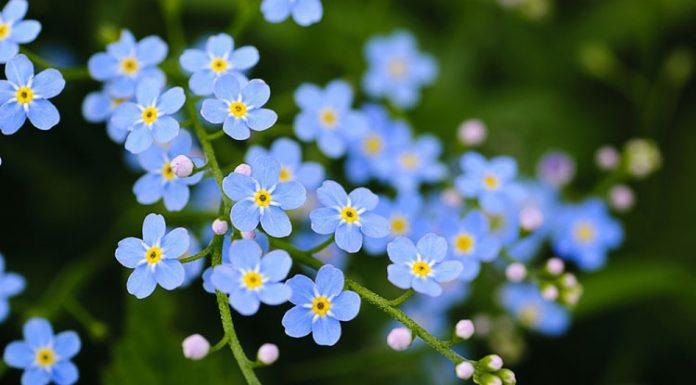 Tử vi của 12 con giáp trong ngày 23/12/2020