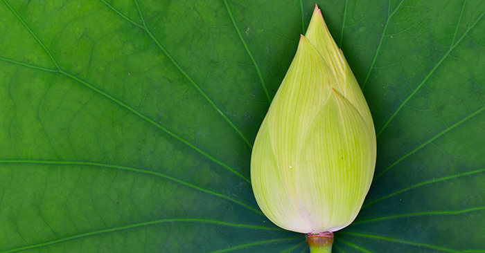 Nhân đức lớn bao nhiêu, thành công lớn bấy nhiêu