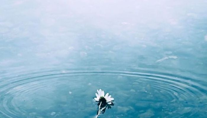 Dù lương thiện đến mấy vẫn có những việc không được phép mềm yếu