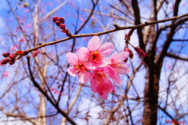 Tử vi của 12 con giáp trong ngày 7/2/2021