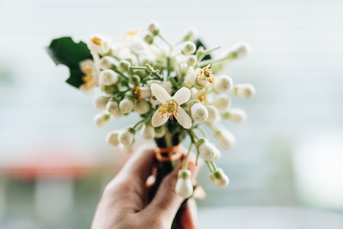 Tử vi của 12 con giáp trong ngày 22/2/2021