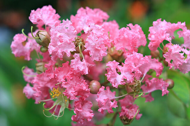 Tử vi của 12 con giáp trong ngày 7/3/2021