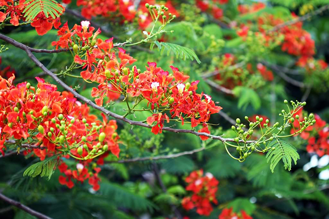 Tử vi của 12 con giáp trong ngày 15/5/2021