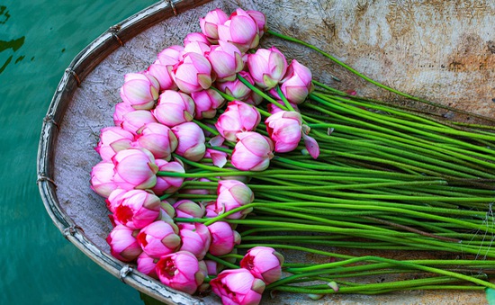 Tử vi của 12 con giáp trong ngày 10/6/2021