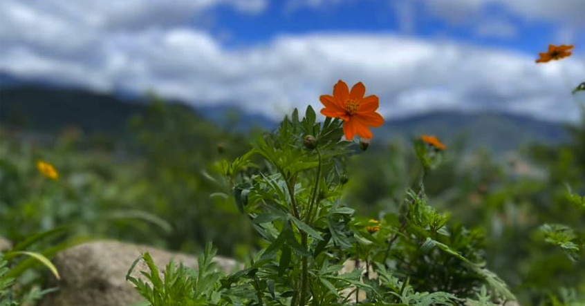 Cuộc sống trở nên có ý nghĩa từ việc cho đi