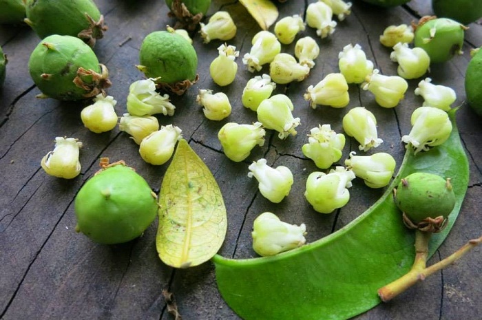 Tử vi của 12 con giáp trong ngày 23/7/2021