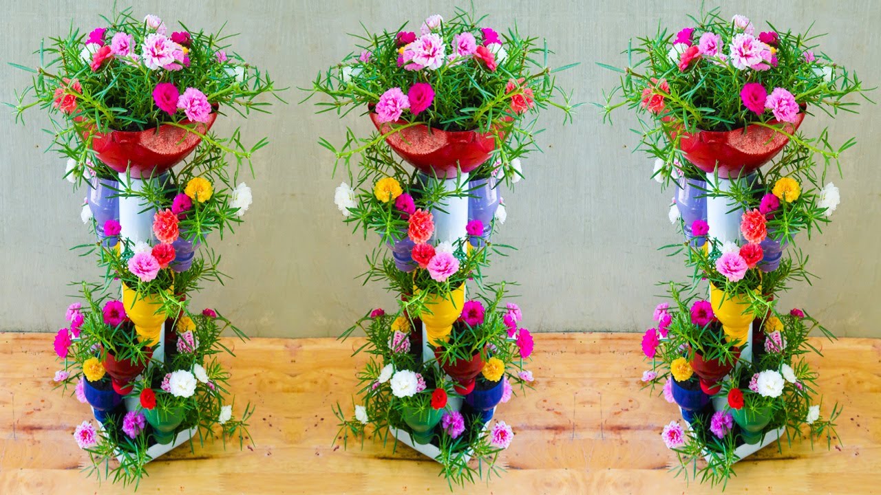 Tử vi của 12 con giáp trong ngày 15/8/2021