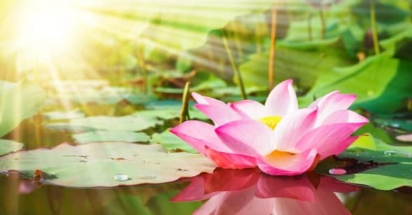 Những “thói quen tốt” giúp bạn gia tăng vận khí, phúc lộc dồi dào