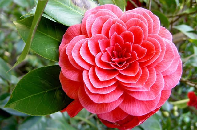 Tử vi của 12 con giáp trong ngày 2/10/2021