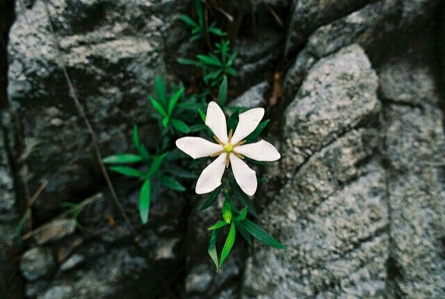 Tử vi của 12 con giáp trong ngày 22/11/2021