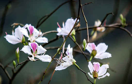 Tử vi của 12 con giáp trong ngày 20/12/2021