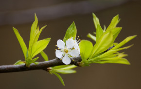 Tử vi của 12 con giáp trong ngày 4/1/2022