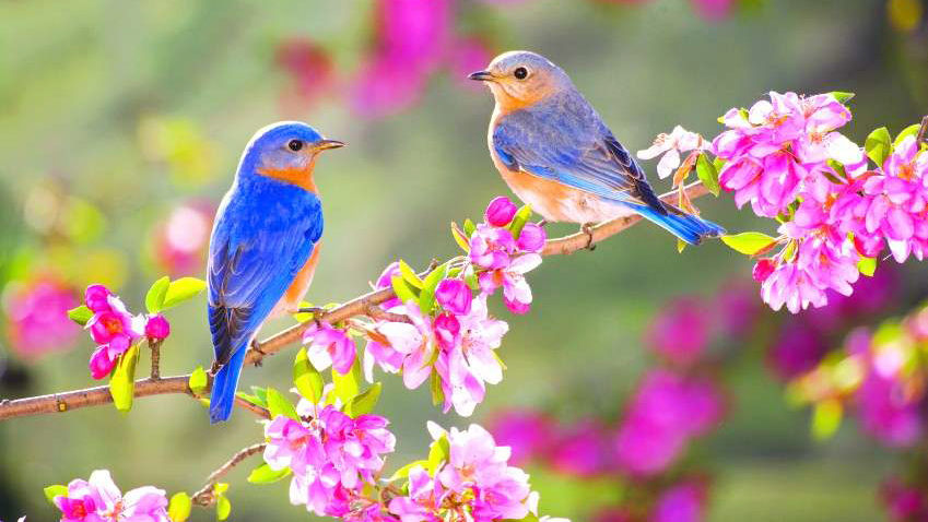 Tử vi của 12 con giáp trong ngày 5/2/2022