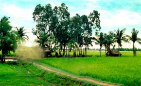 Tử vi của 12 con giáp trong ngày 6/3/2022