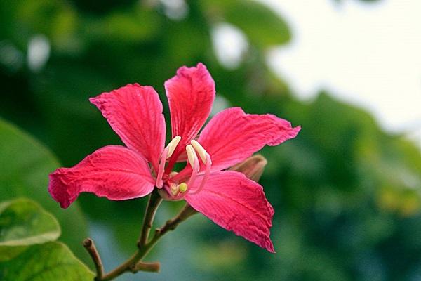 Tử vi của 12 con giáp trong ngày 25/4/2022
