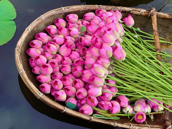 Tử vi của 12 con giáp trong ngày 2/6/2022