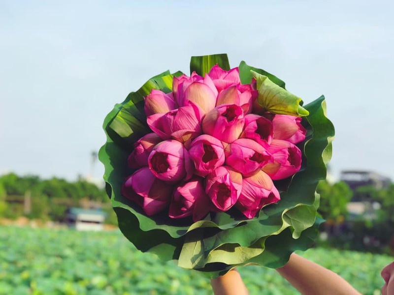 Tử vi của 12 con giáp trong ngày 4/6/2022