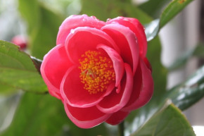 Tử vi của 12 con giáp trong ngày 17/6/2022