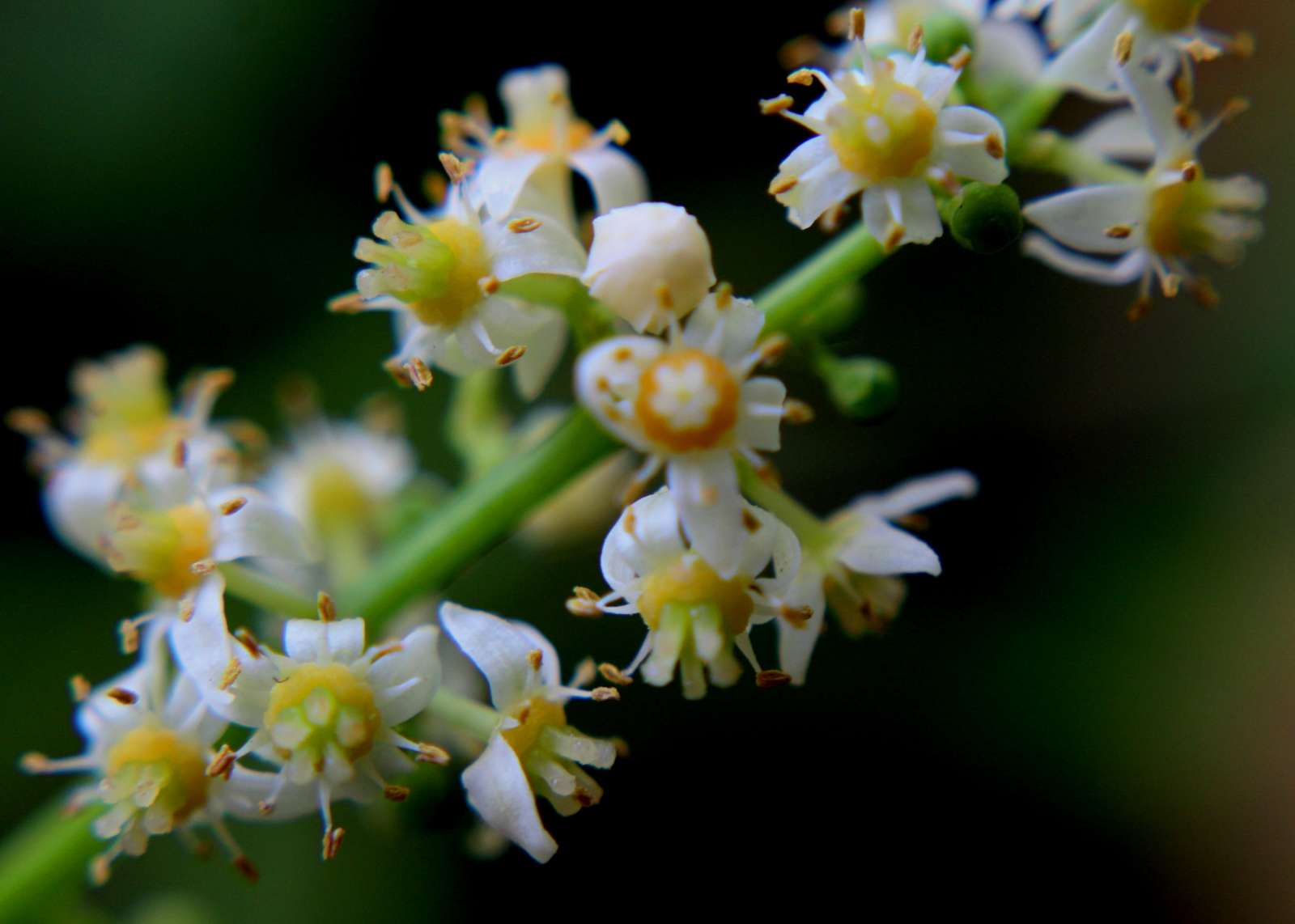 Tử vi của 12 con giáp trong ngày 29/7/2022