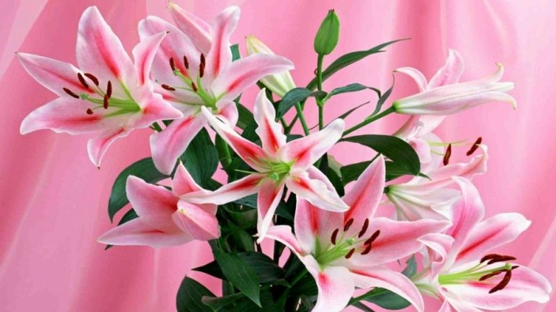 Tử vi của 12 con giáp trong ngày 31/12/2022