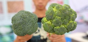 Cách phân biệt củ quả Trung Quốc dịp cuối năm