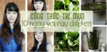 Công thức trị mụn "trong uống - ngoài thoa" với rau diếp cá