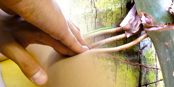 Hướng dẫn ’anh xã’ dùng tinh dầu massage Yoni cho ’chị nhà’