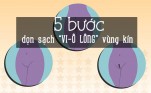 5 bước dọn dẹp "Vi-ô" lông vùng kín đảm bảo đẹp và không đau