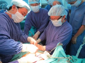 Hàng chục nghìn người Việt Nam đang chờ ghép tạng