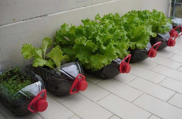 20 cách biến tấu cahi nhựa cũ thành đồ vật đẹp trong nhà