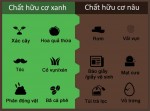 Tự làm phân hữu cơ từ rác thải trong nhà